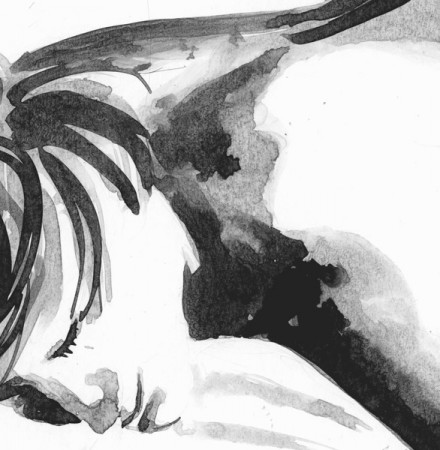 sovende Detalje 600 sovende Detalje 600