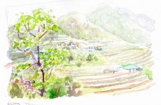 NepalDhampus 800 NepalDhampus 800