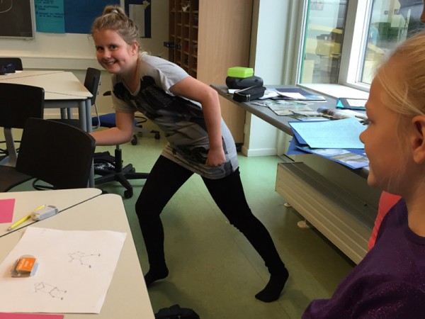 Tidslinje elev model 800 Tidslinje elev model 800